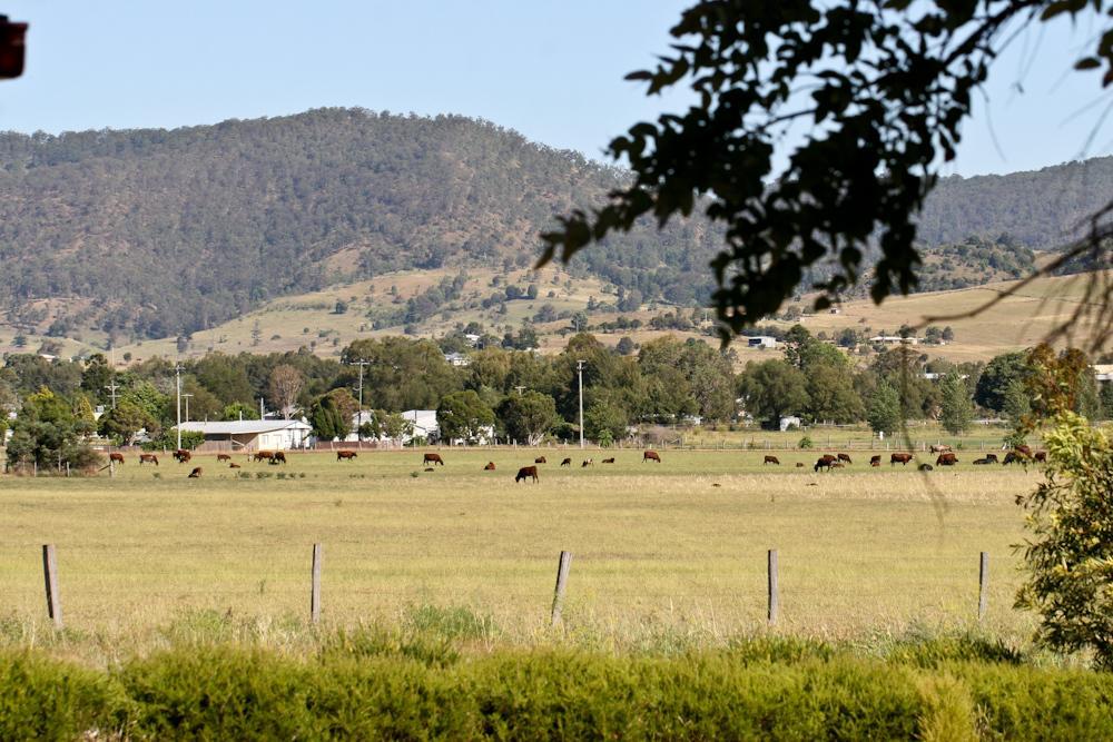 Killarney View Cabins And Caravan Park エクステリア 写真