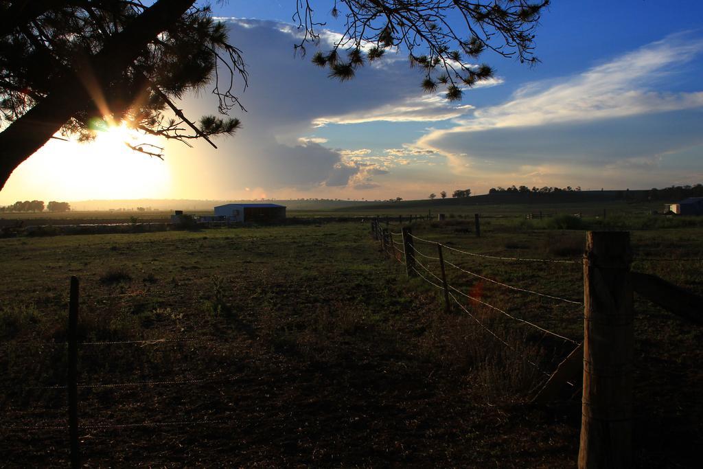 Killarney View Cabins And Caravan Park エクステリア 写真